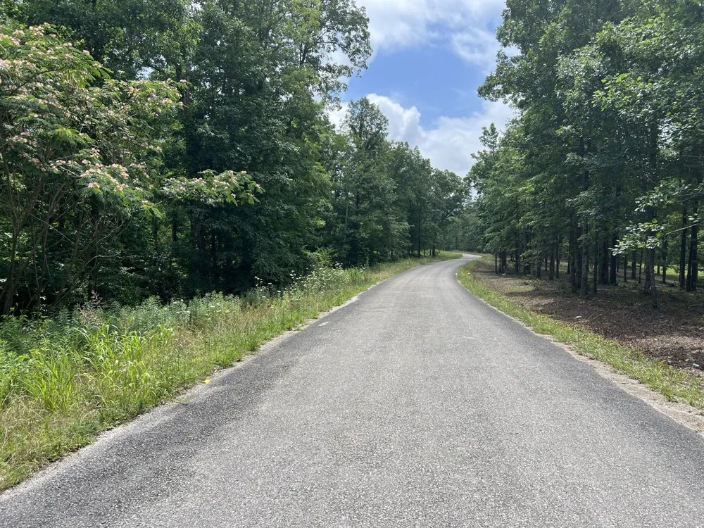 1 Slaughter Rd Primm Springs, TN 38476