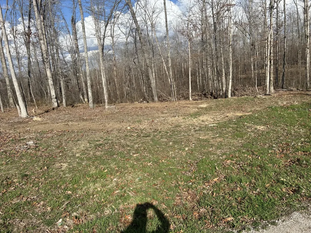1 Slaughter Rd Primm Springs, TN 38476