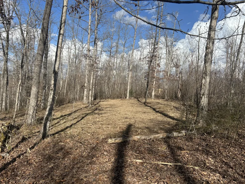 1 Slaughter Rd Primm Springs, TN 38476