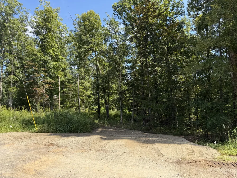 1 Slaughter Rd Primm Springs, TN 38476