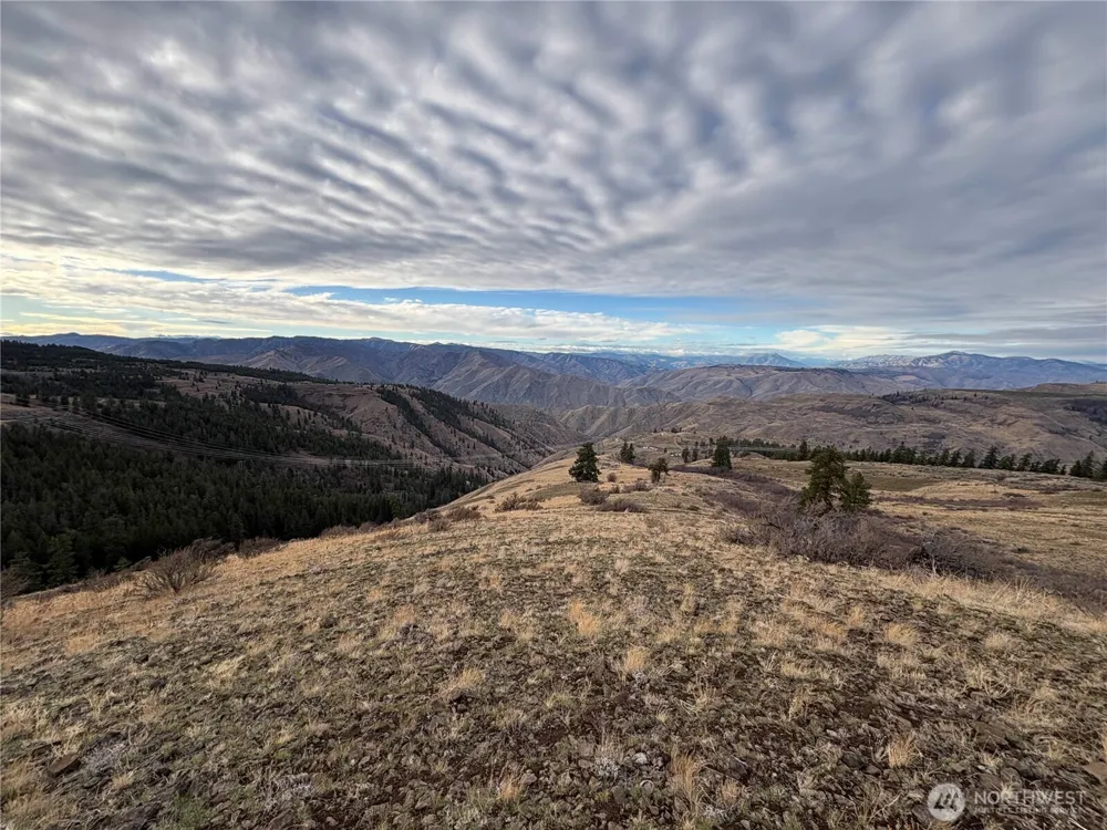 0 XX Deer Creek Drive Waterville, WA 98858