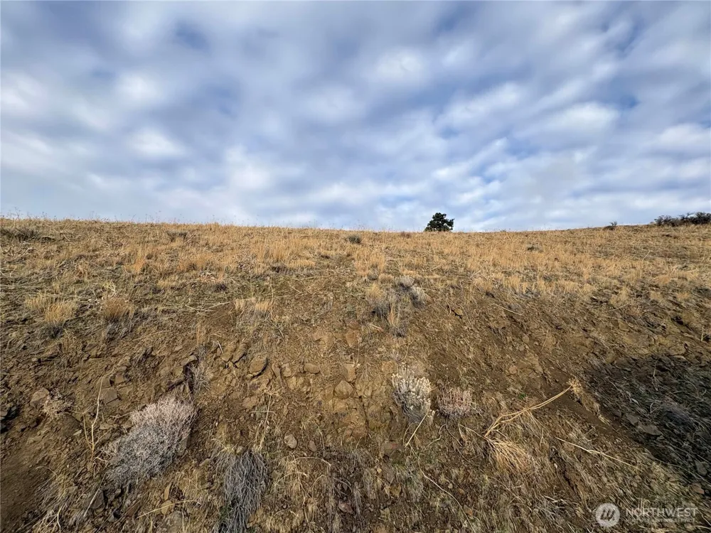 0 XX Deer Creek Drive Waterville, WA 98858