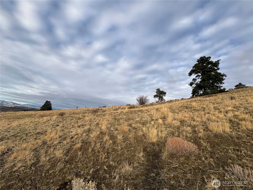 0 XX Deer Creek Drive Waterville, WA 98858