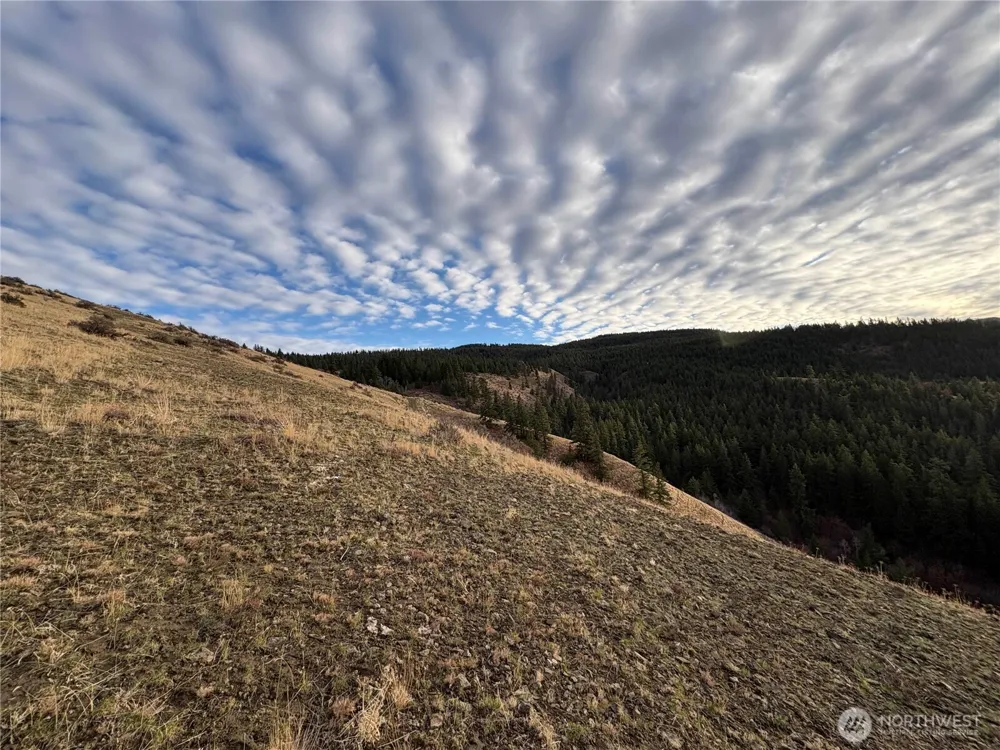 0 XX Deer Creek Drive Waterville, WA 98858