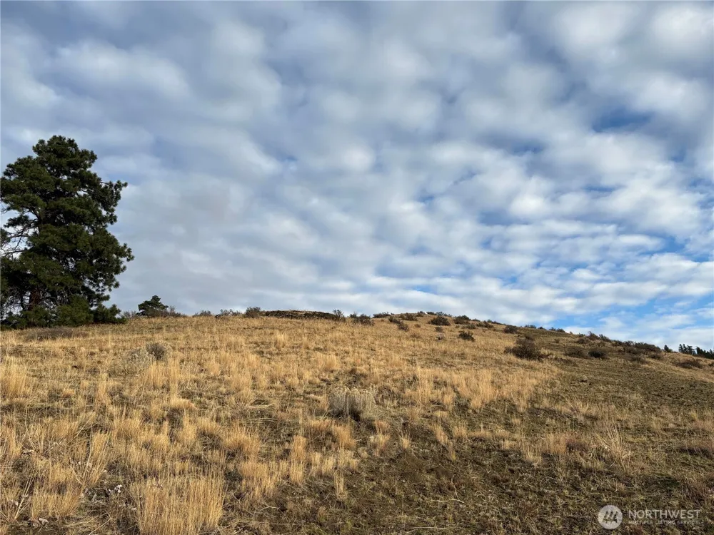 0 XX Deer Creek Drive Waterville, WA 98858