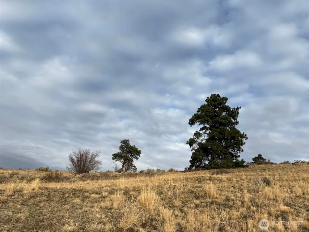 0 XX Deer Creek Drive Waterville, WA 98858