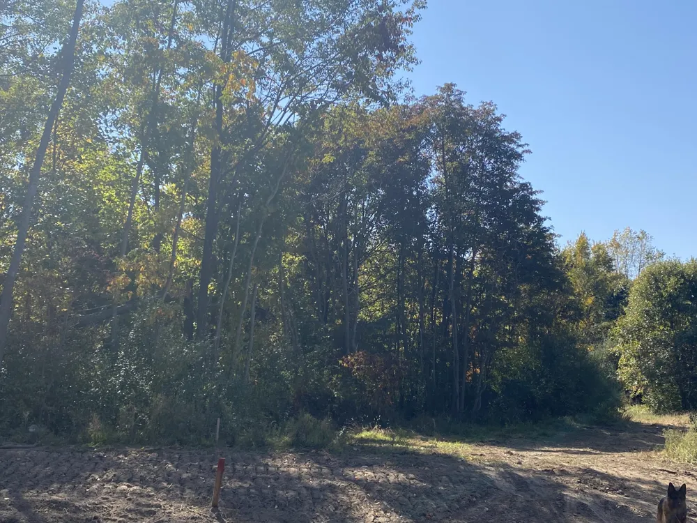 3165 Elk Antler Avenue #1 Plainwell, MI 49080