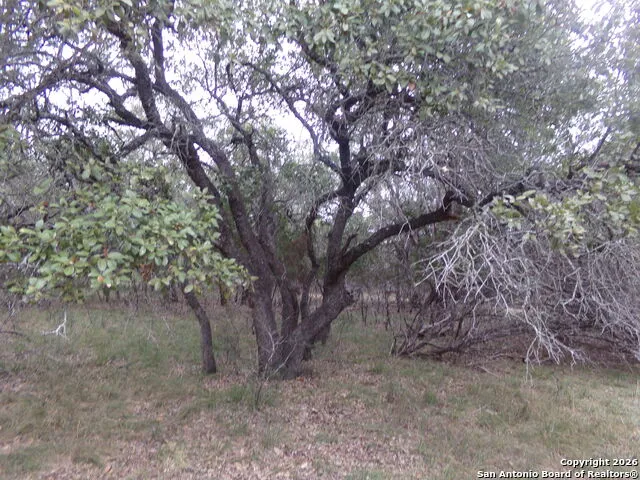 885 Mountain Valley Drive Concan, TX 78838