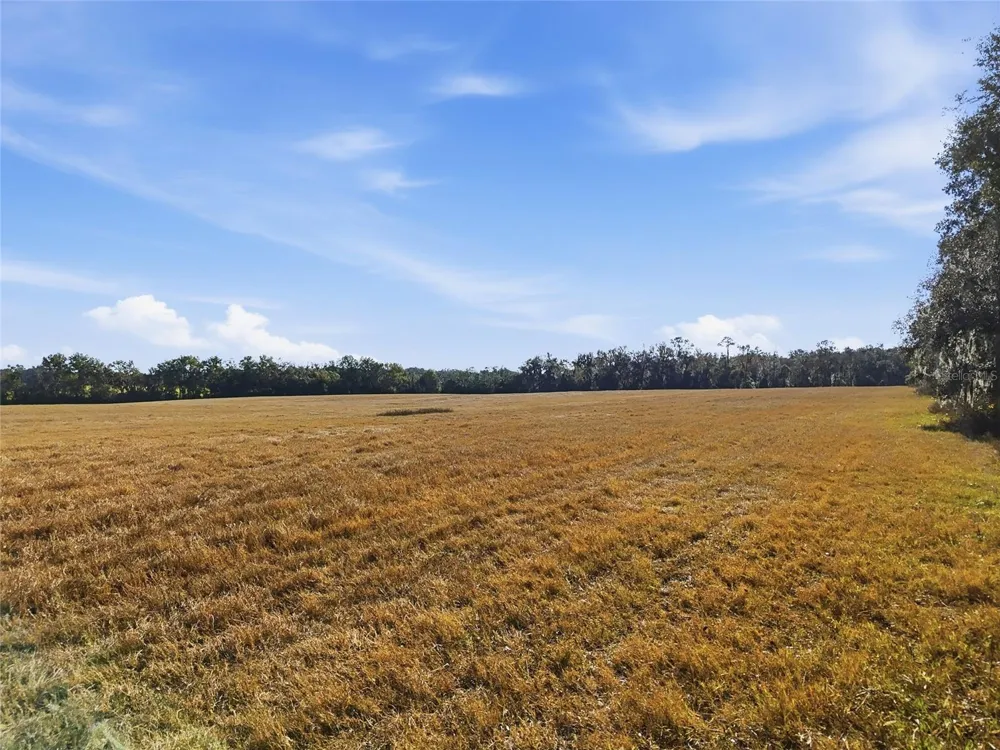 Hwy 236 NW 236 Alachua, FL 32615
