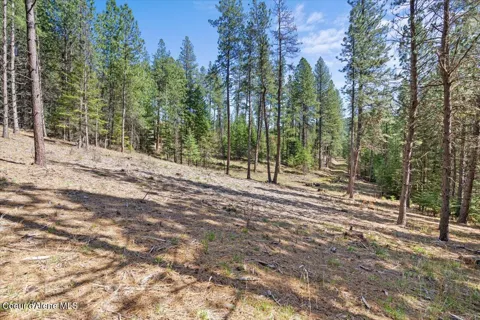 L1B1 NKA Highway 97