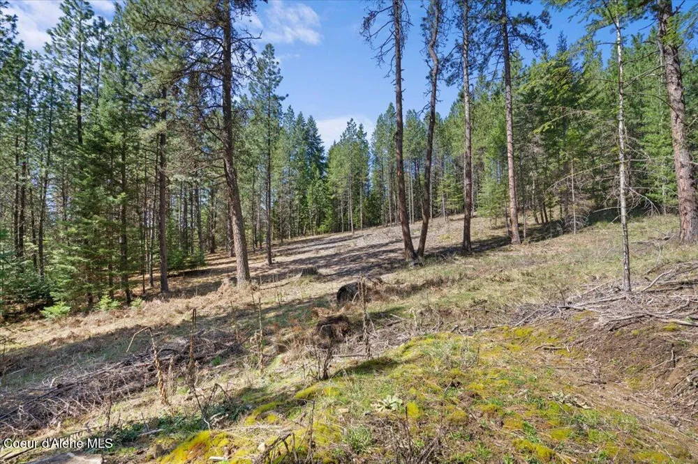 L1B1 NKA Highway 97 Harrison, ID 83833