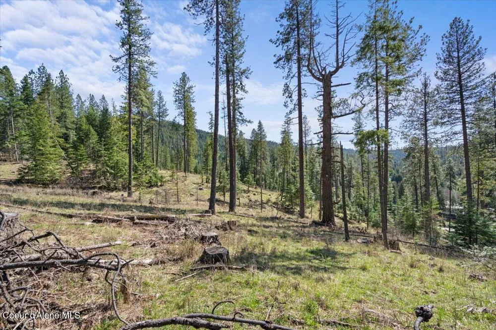 L1B1 NKA Highway 97 Harrison, ID 83833