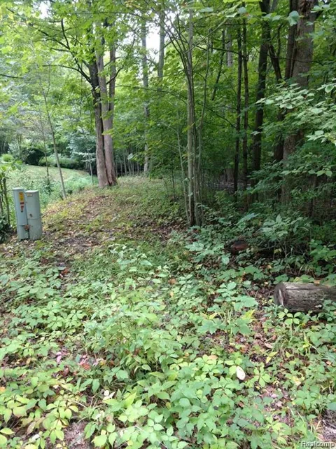 3 Joann Drive