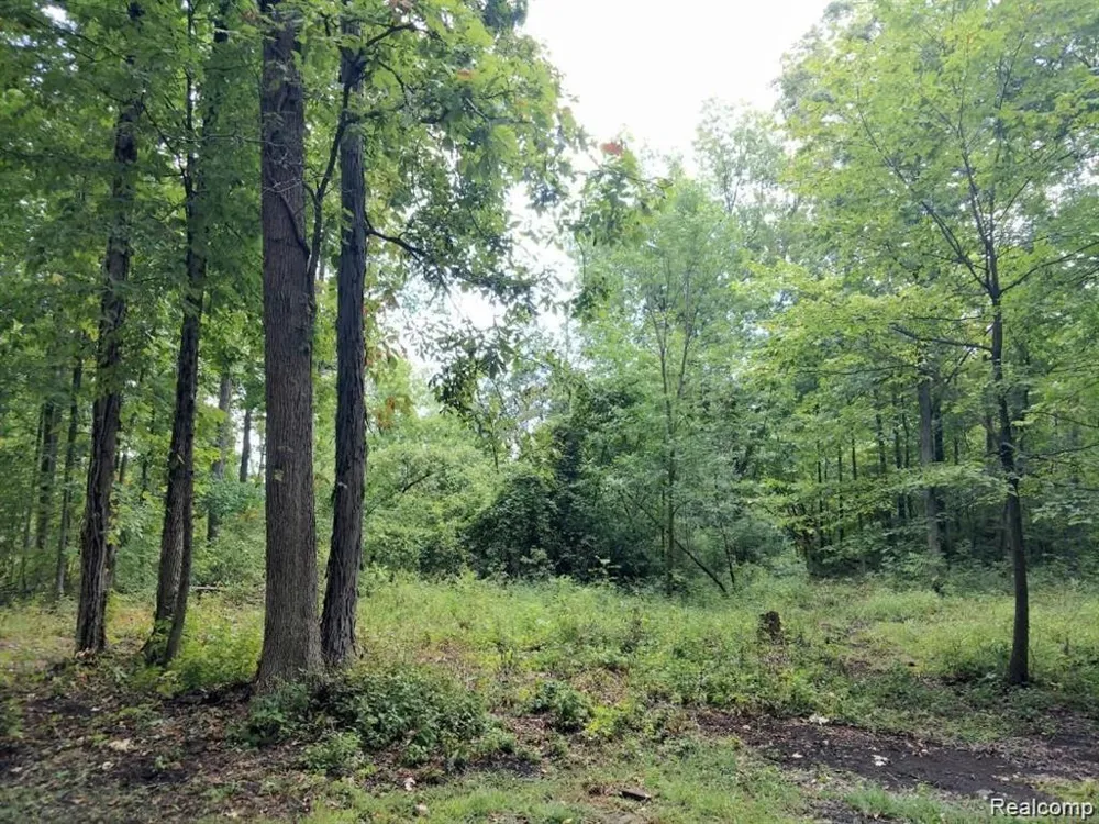 3 Joann Drive Berlin Charter Township, MI 48166