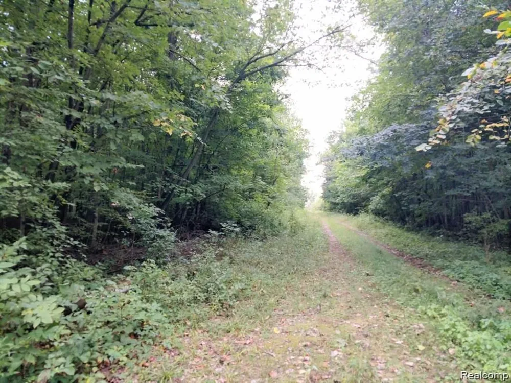 3 Joann Drive Berlin Charter Township, MI 48166