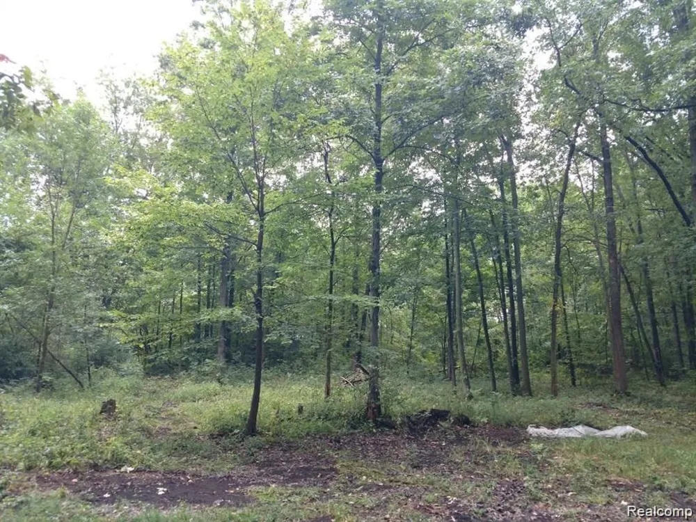 3 Joann Drive Berlin Charter Township, MI 48166