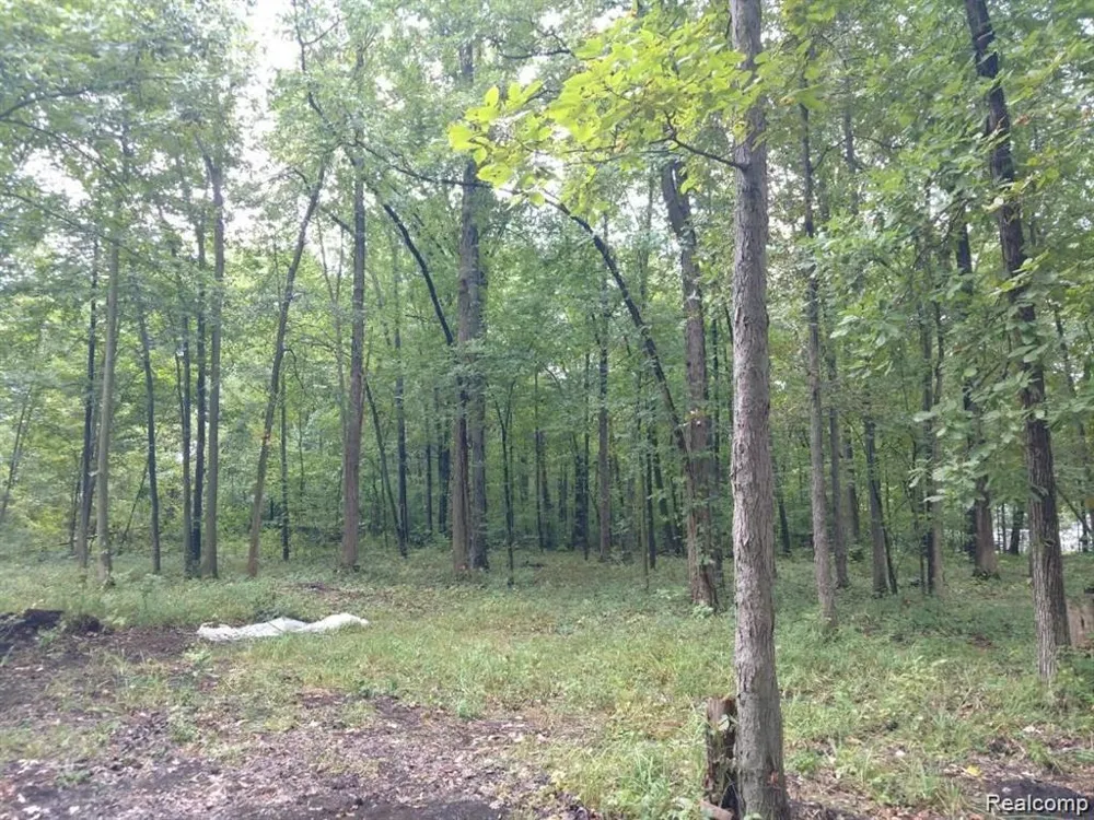 3 Joann Drive Berlin Charter Township, MI 48166