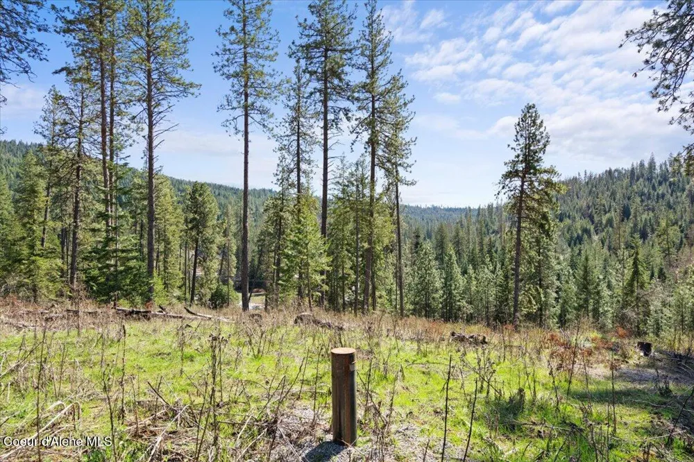 L4B1 NKA Highway 97 Harrison, ID 83833