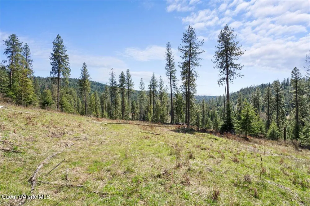 L4B1 NKA Highway 97 Harrison, ID 83833