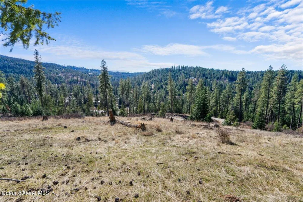 L3B1 NKA Highway 97 Harrison, ID 83833