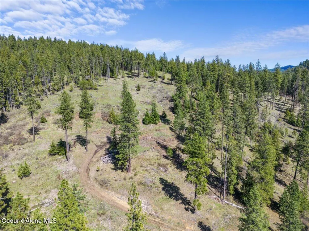 L3B1 NKA Highway 97 Harrison, ID 83833