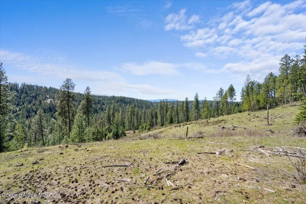 L3B1 NKA Highway 97 Harrison, ID 83833