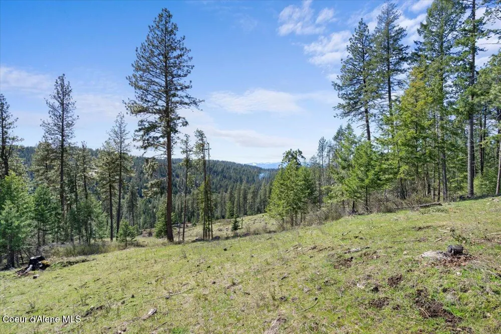 L3B1 NKA Highway 97 Harrison, ID 83833