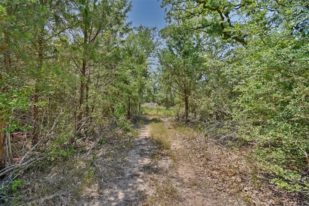 Fm 60 Somerville, TX 77879