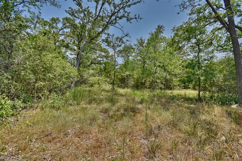 Fm 60 Somerville, TX 77879