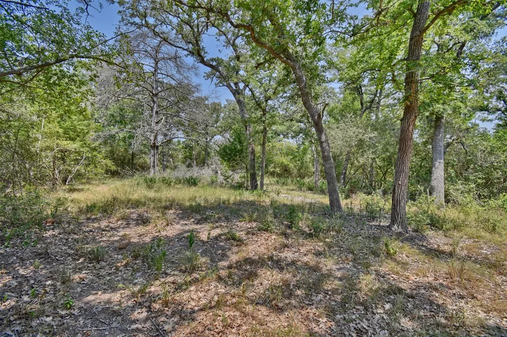 Fm 60 Somerville, TX 77879