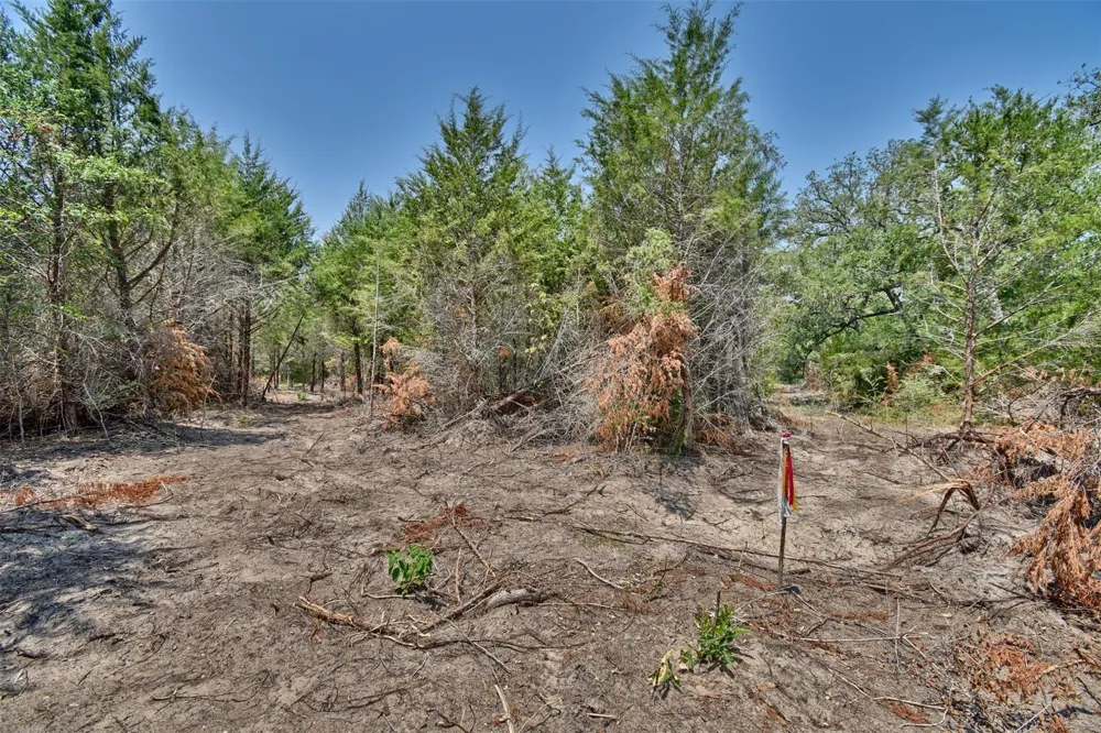 Fm 60 Somerville, TX 77879