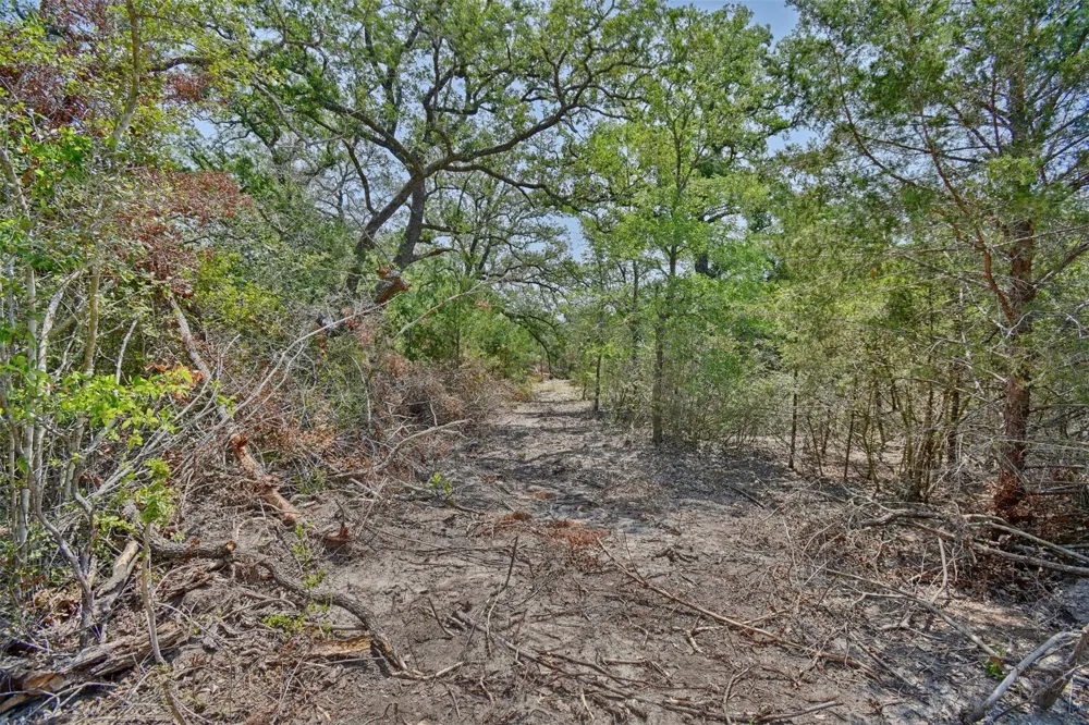 Fm 60 Somerville, TX 77879