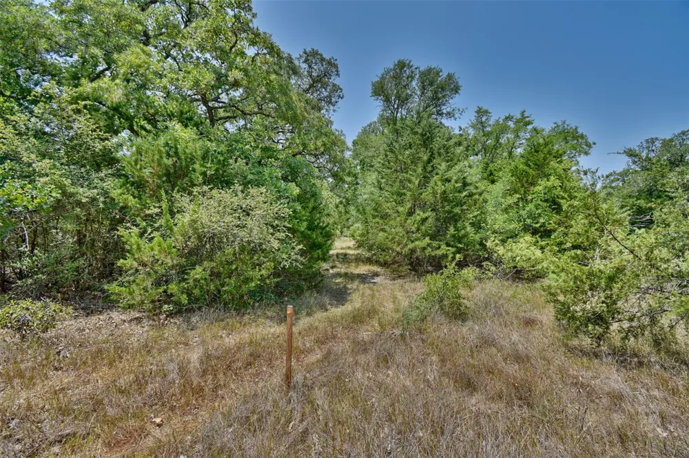 Fm 60 Somerville, TX 77879