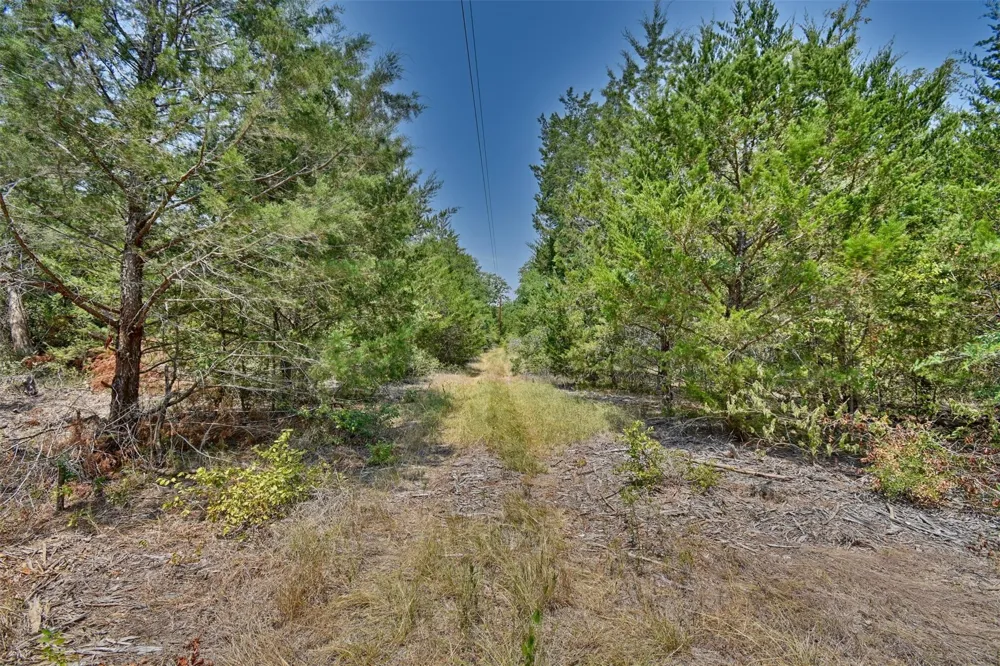 Fm 60 Somerville, TX 77879