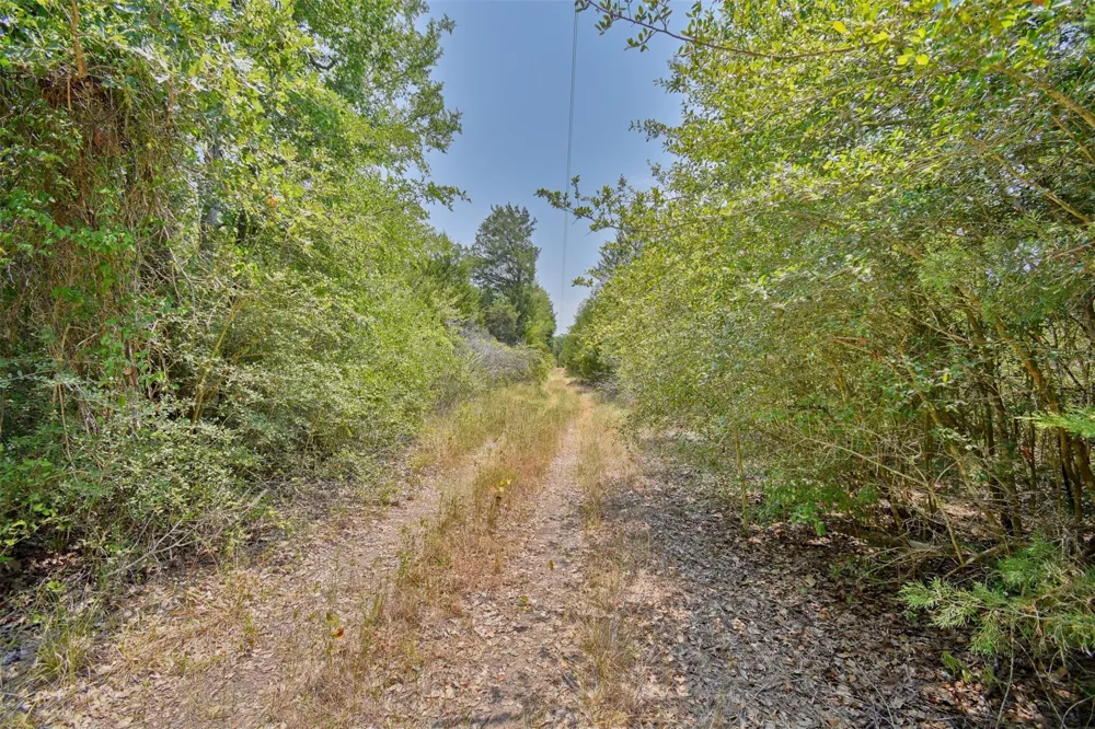 Fm 60 Somerville, TX 77879