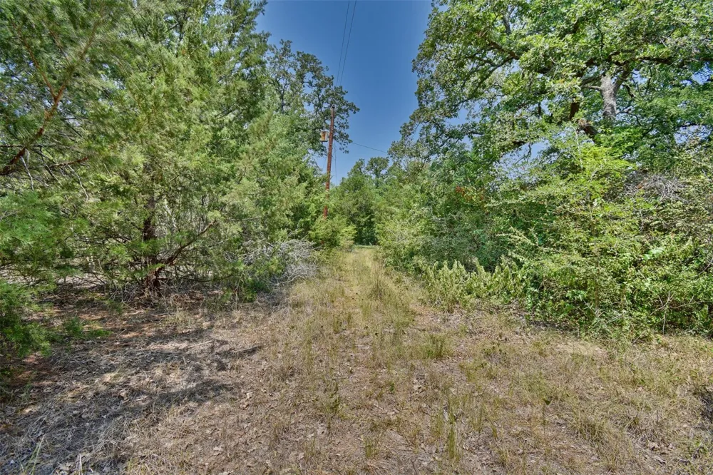 Fm 60 Somerville, TX 77879