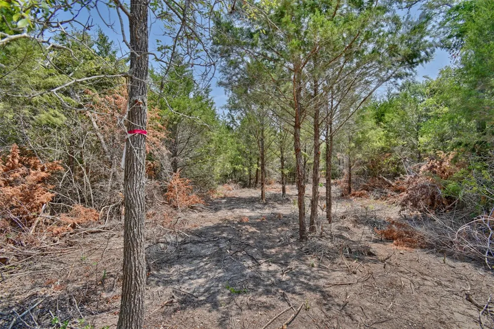 Fm 60 Somerville, TX 77879