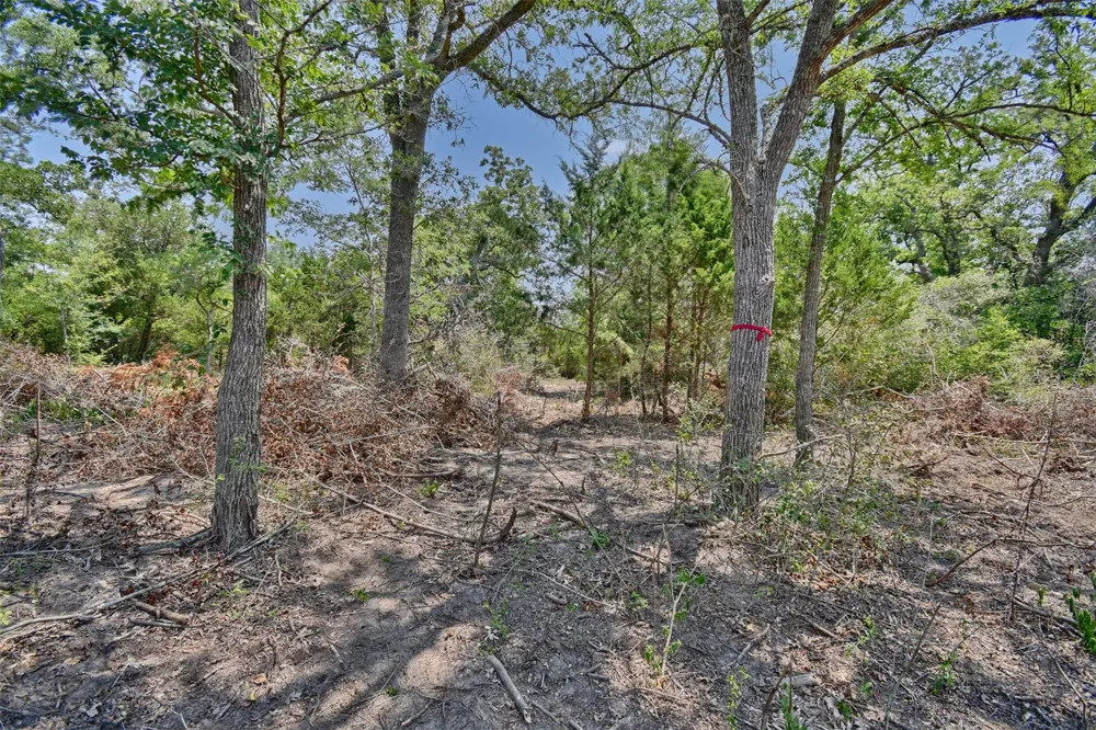 Fm 60 Somerville, TX 77879