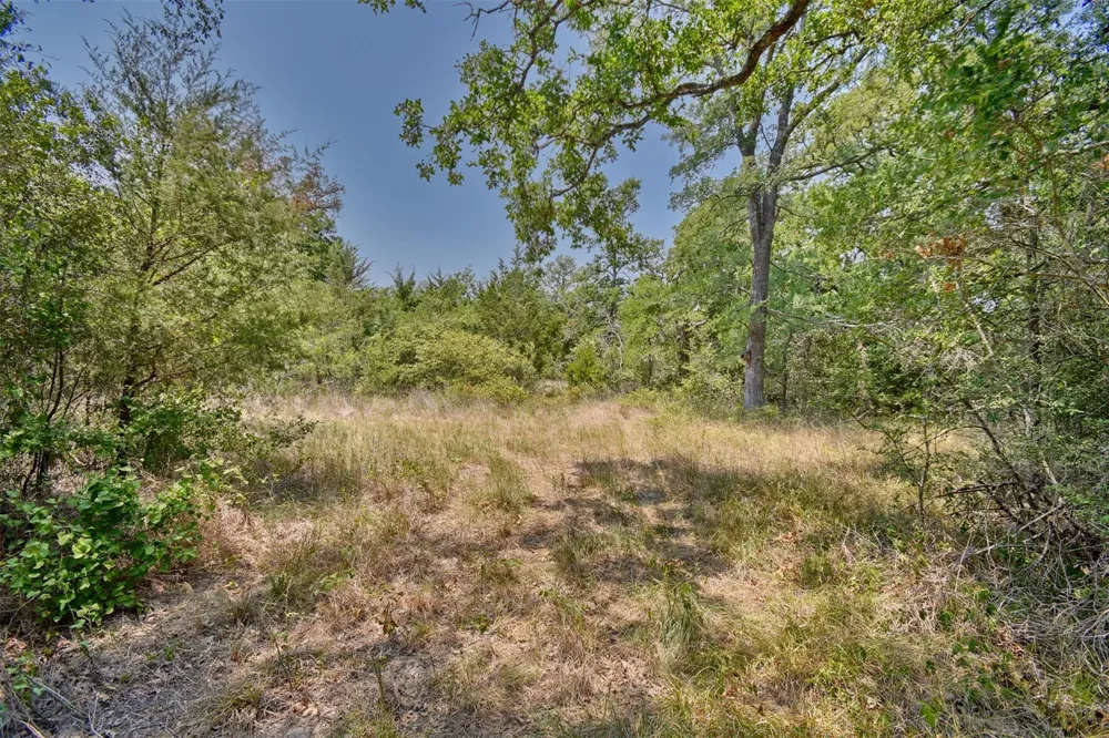Fm 60 Somerville, TX 77879