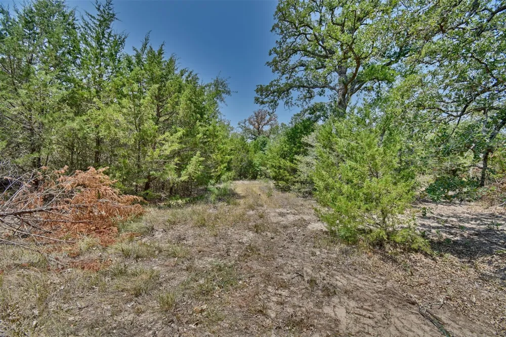 Fm 60 Somerville, TX 77879