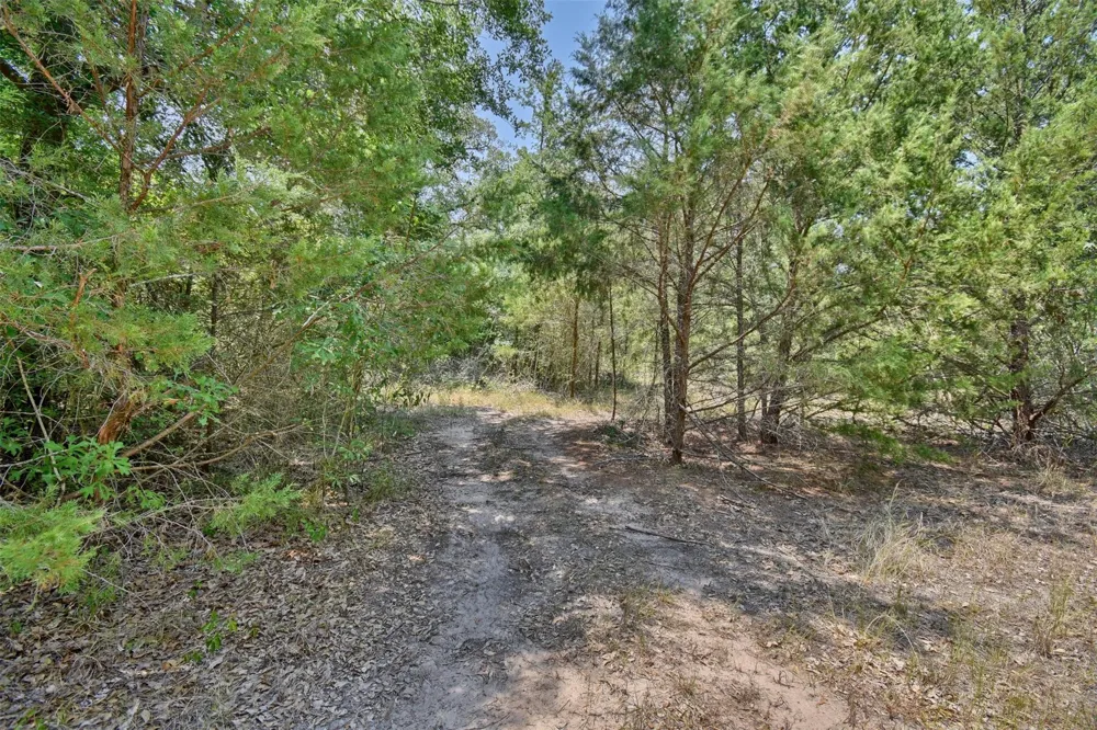 Fm 60 Somerville, TX 77879