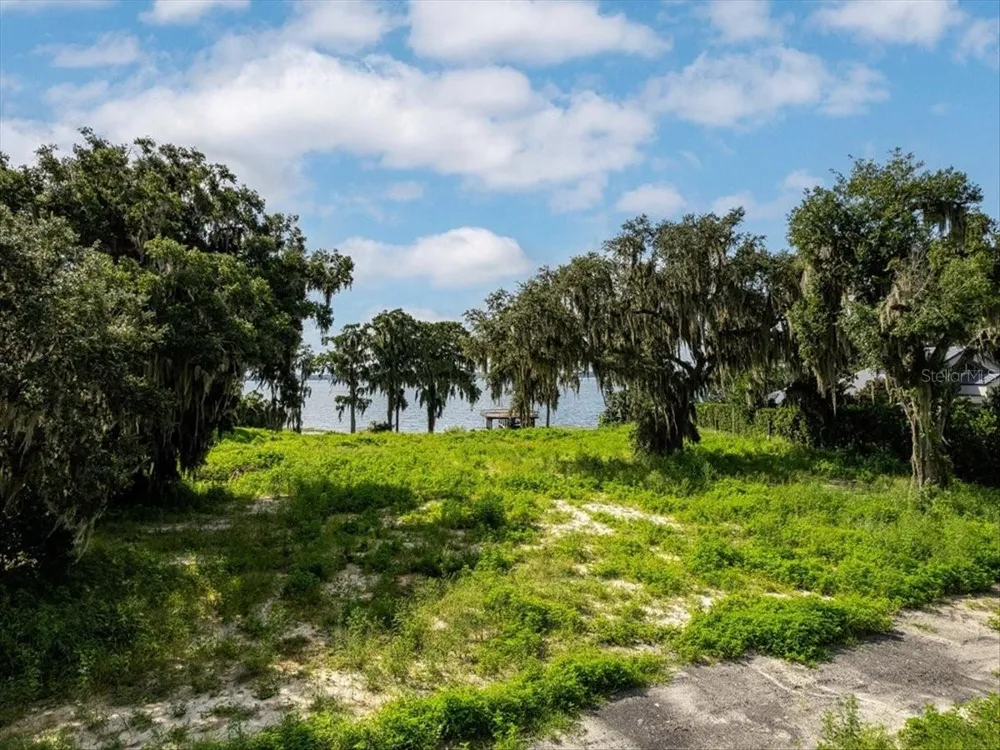12418 PARK AVENUE Windermere, FL 34786