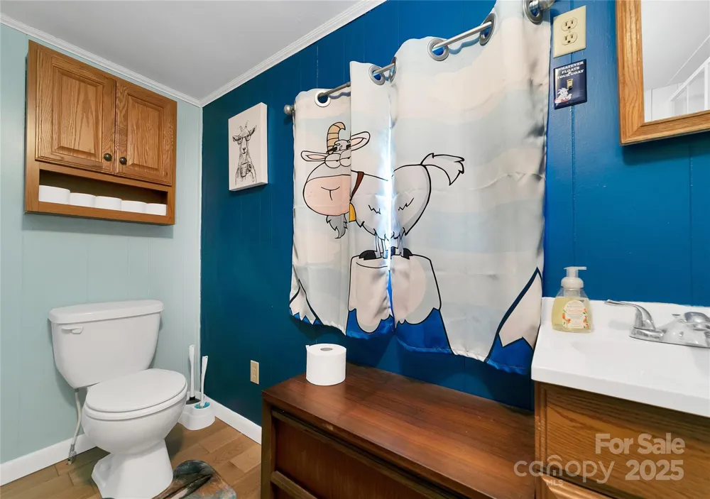 626 Fairview Loop Hot Springs, NC 28743