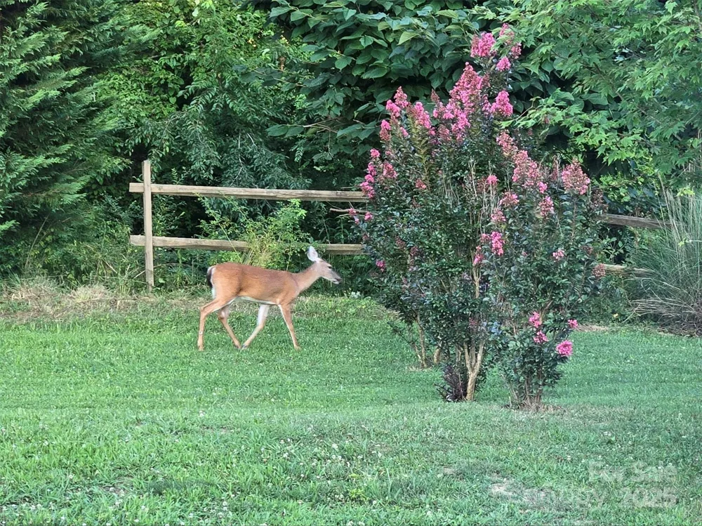 626 Fairview Loop Hot Springs, NC 28743