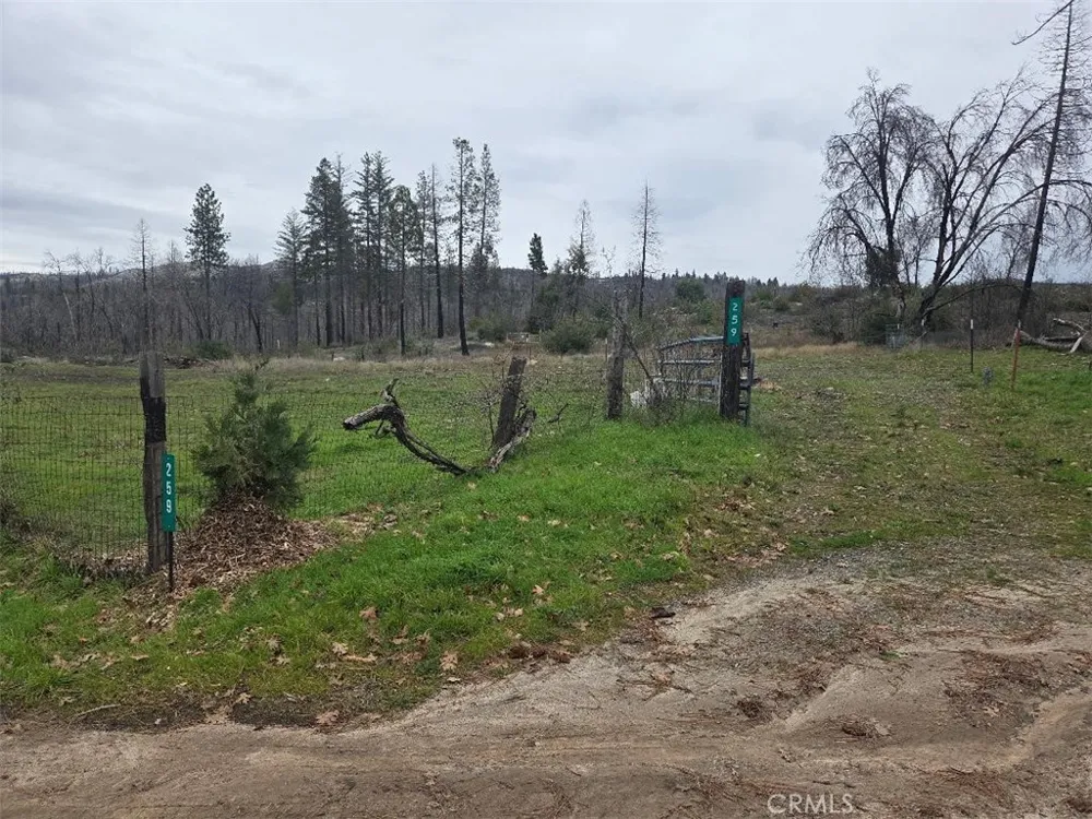 259 Rockerfeller Road Berry Creek, CA 95916