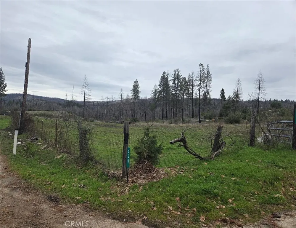 259 Rockerfeller Road Berry Creek, CA 95916