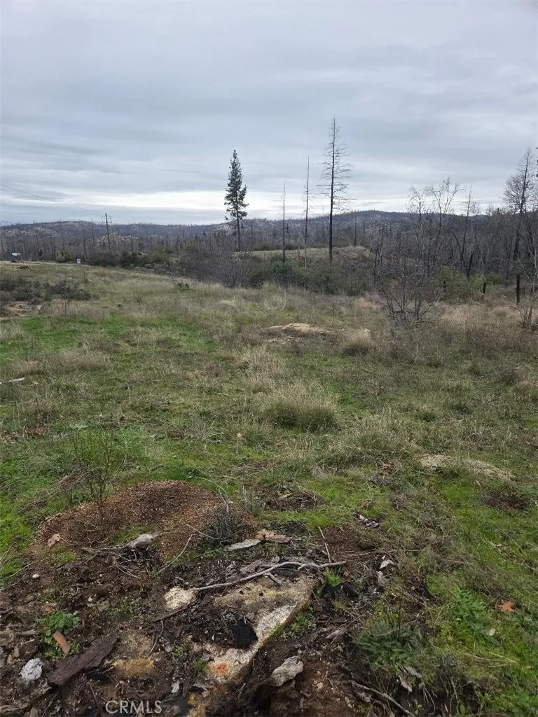 259 Rockerfeller Road Berry Creek, CA 95916