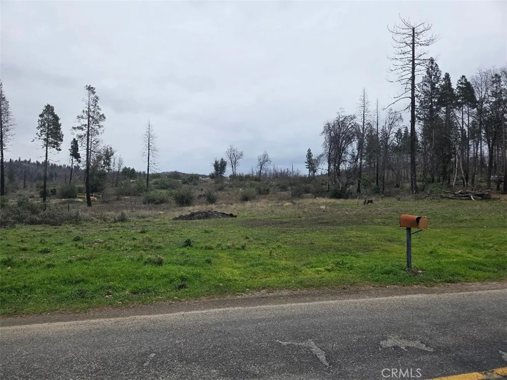 259 Rockerfeller Road Berry Creek, CA 95916