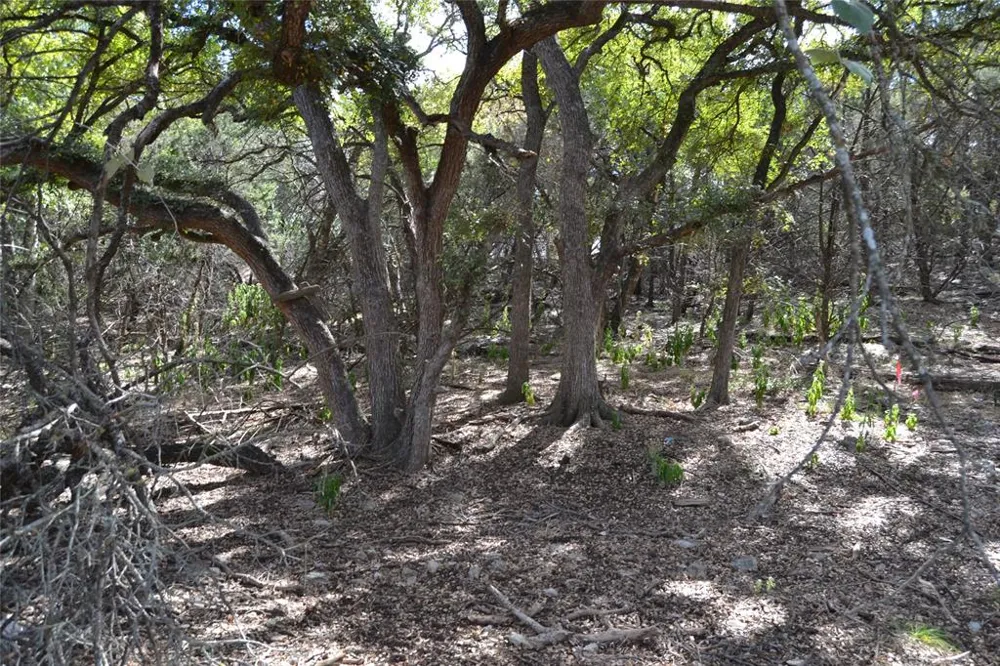 223 Pleasant Valley Road Wimberley, TX 78676