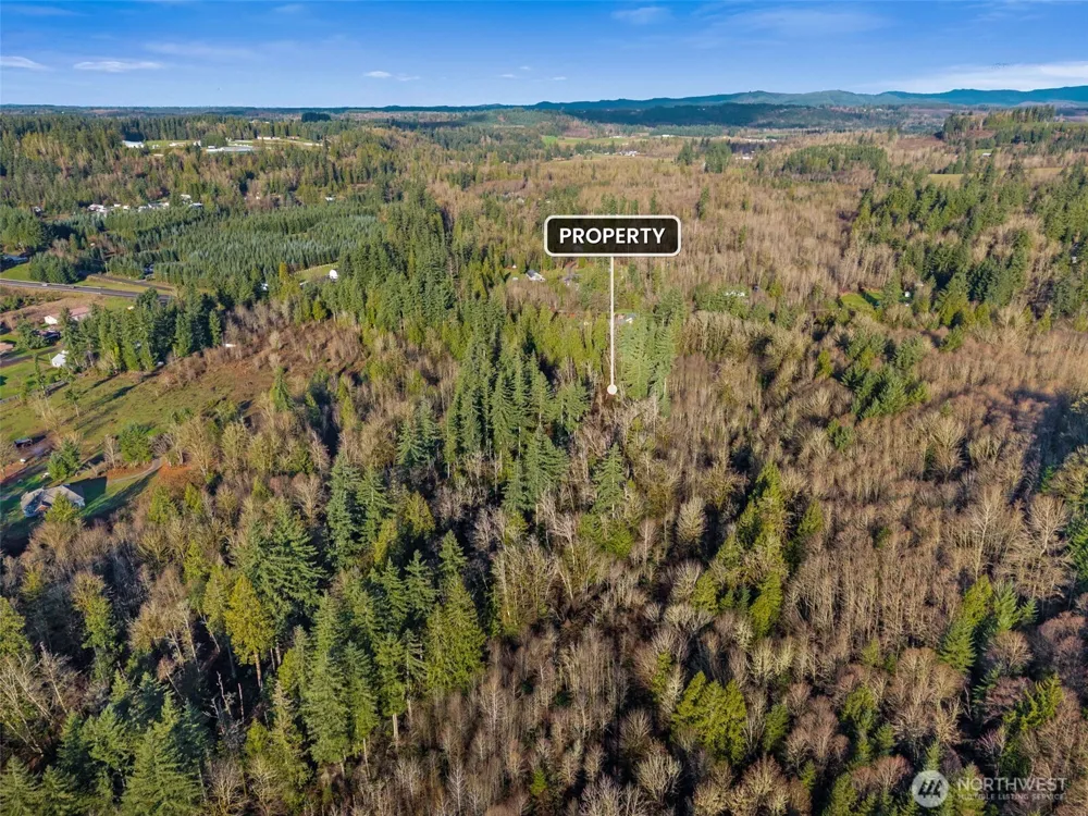 0 US Hwy 12 Mossyrock, WA 98564